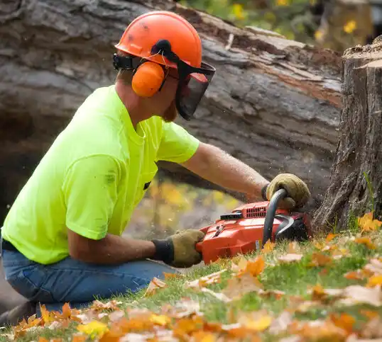 tree services Tilton Northfield